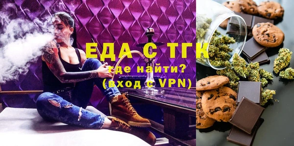 хмурый Дубна