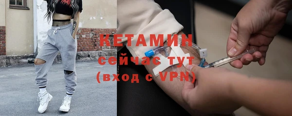 стаф Корсаков