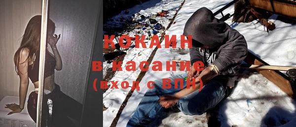 стаф Корсаков