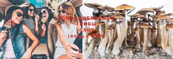 метамфетамин Козловка